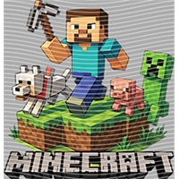 Minecraft-MN 117